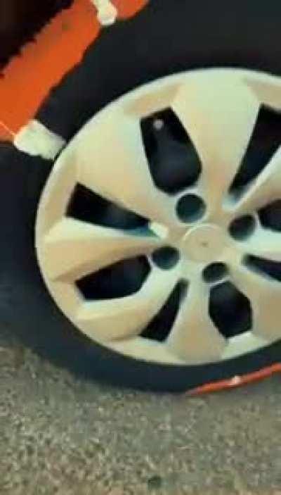 Sonic is real and I can prove it