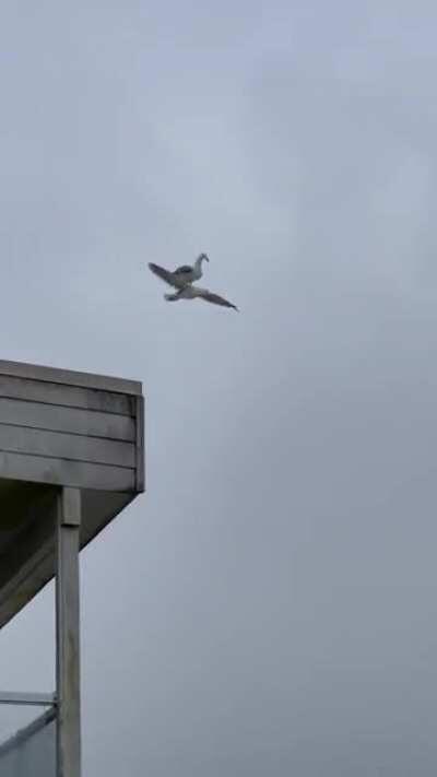 Mid flight refueling