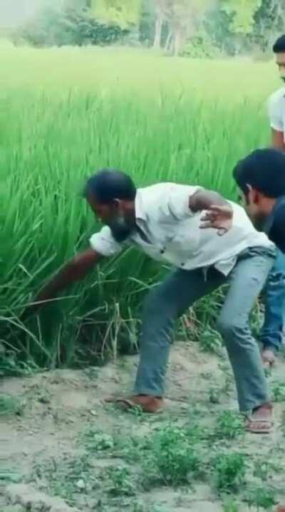 Stand back... t’s a big one! 🐍