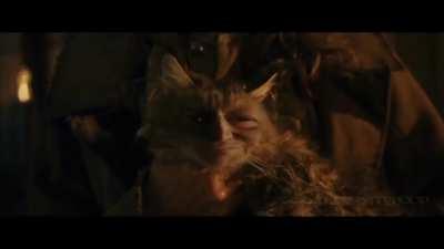 Take a good look lads