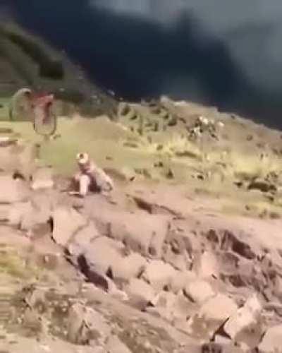 Time to find a new hobby