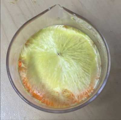 Crystallization and phase transition of Tin(II) Iodide