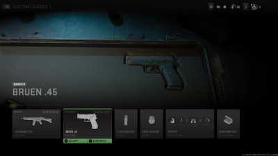 Ended up getting into the warzone screen and saw Bruen, Bryson, and RAAL MG which aren’t in the beta