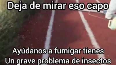 BeelcitosMemes - Video #6061