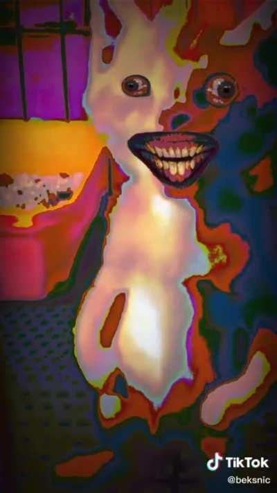 En fin la hipocresía