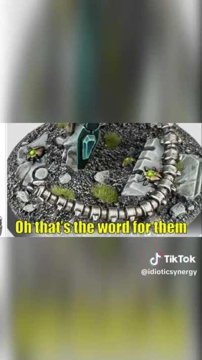 Later it turned out Trazyn sent those scarabs to mess with him by idioticsynergy