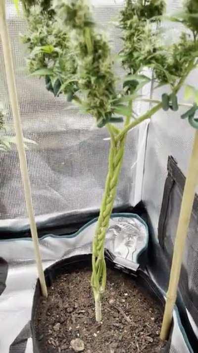 sometimes the best results come from having zero expectations…