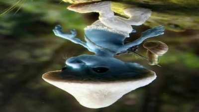 We shid, we pizz, we camed