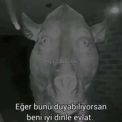 el_nasil_yikanir_anime_kizi_mp4