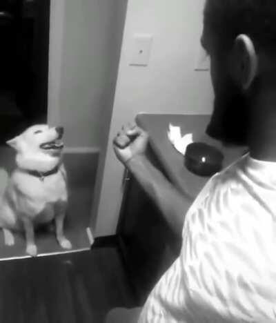 You dare speak to me in that tone of voice?! (Sorry if repost)