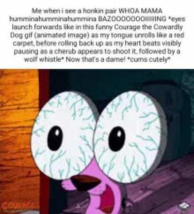 I love breasts and hate women