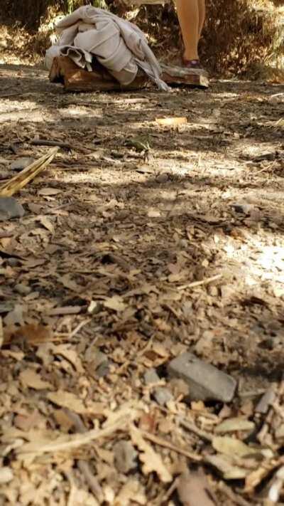 Sweet like Sunday morning