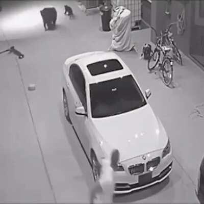 All it needs now is the POOF cloud💨