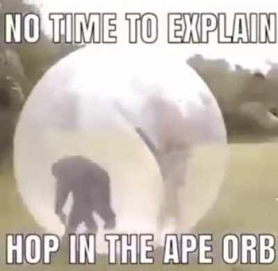 Yooo they made monke ball banana blitz a real thing!