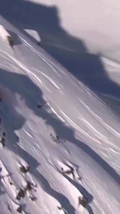 I love skiing without a care in the world 🌎