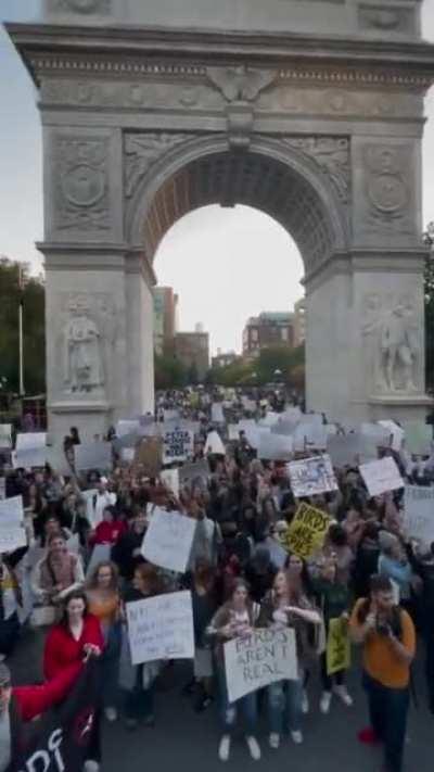 2,000 at the NYC Birds Aren’t Real rally. History.