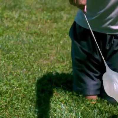 Hisoka in the Greed island arc, basically