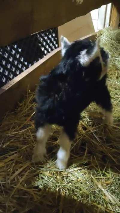 [OC] The smallest one this year.