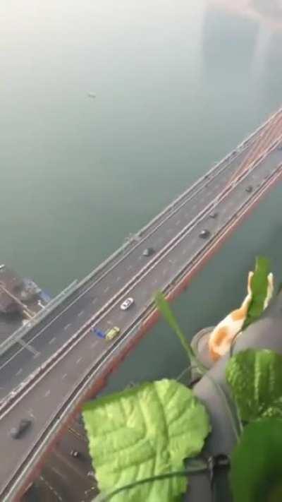 sUiCiDaL H0uSECaT wOnDErS wHErE iT aLL WeNt wR0Ng :(