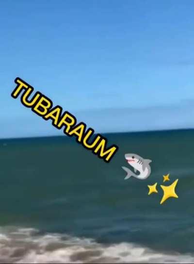 Eu, durante o fim do mundo