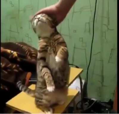 This is so heartwarming