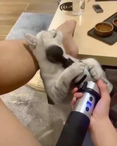 Hey dude for me please!