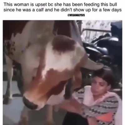 This is the cutest of apologies you will see. 💓💓