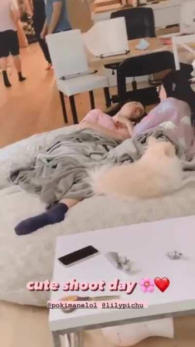 Lily & Poki enjoying their tier 3 sub moments