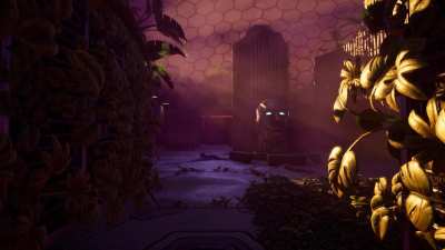 Unused Birds Ambience for the Groves