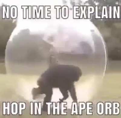 I'm 15 and this is yeet