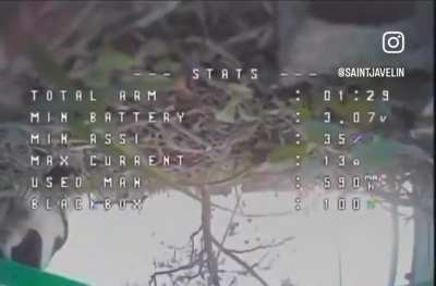 Combat cat downs drone in Ukraine