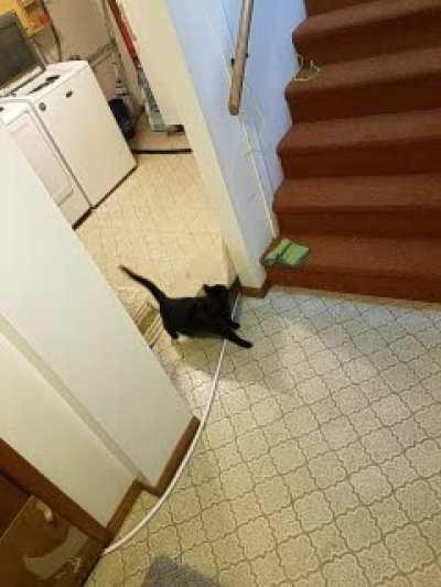 My shower mat was getting moved in the night, set up a camera to capture the culprit.