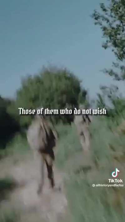 Moving speech by British Officer, on the eve of battle, to the RIR