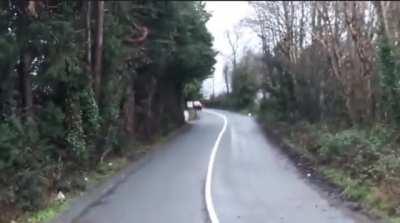 The road at Chapel Station, Adamstown has eh...washed away.