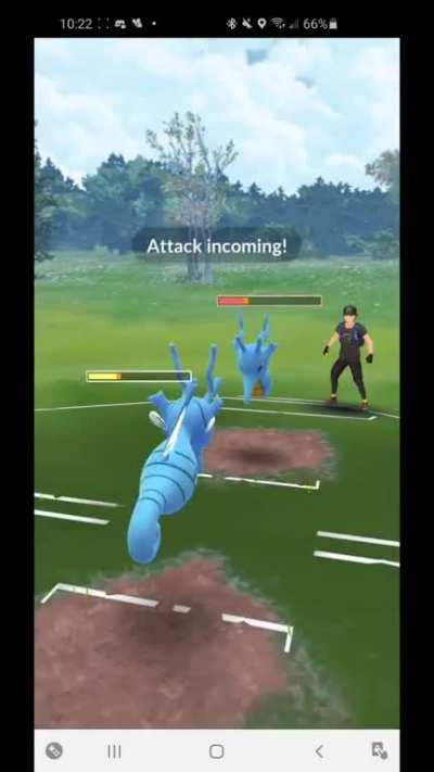 Kingdra mirror, can somebody explain what happened here?