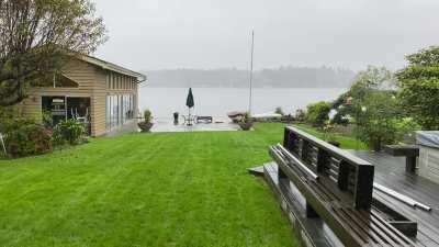 Peaceful morning rain in Washington.