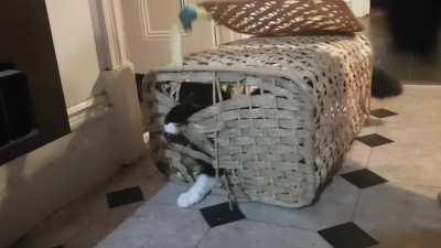 Who needs a laundry basket anyway?