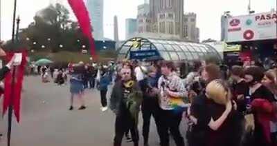 Who let the rabid dogs out ?