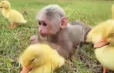 Mujicano disfrutando su domingo