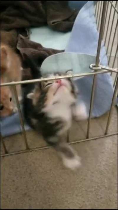 He's having a hard time to get out. Would you mind helping him?