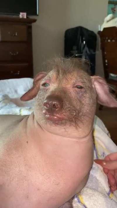 Straight outta Chernobyl