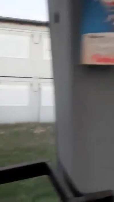 Wer von euch Lauselümmeln war das?