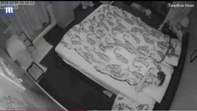 Rabbit does zoomies on owners' heads