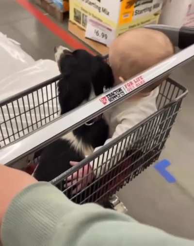 Cute little buddies at the store...