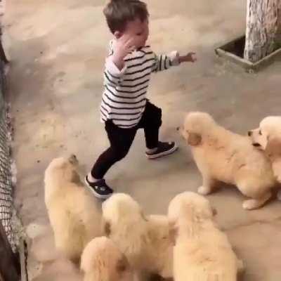 Attack this hooman with Love