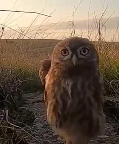 Young siblings probably waiting for mom, when one noticed the camera.