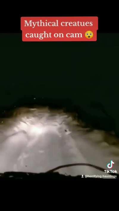 Mythical Creatures Caught on Cam.. 🤢😱