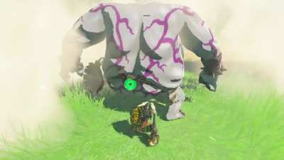 I have 2,000 hours doing advanced combat in TOTK