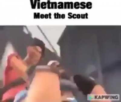 Vietnamese Scout