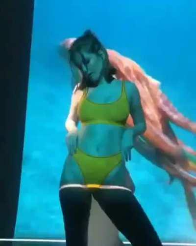 Perhaps these videos have already been here, but I do not remember